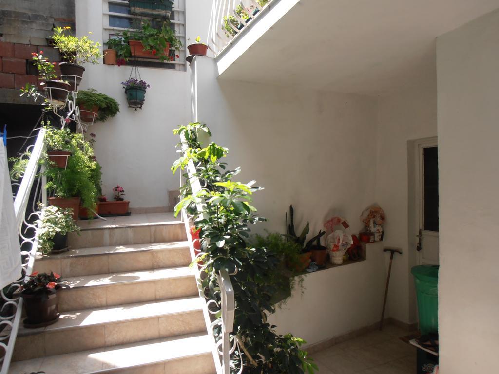 Apartmani Zeljko Vujovic Budva Extérieur photo