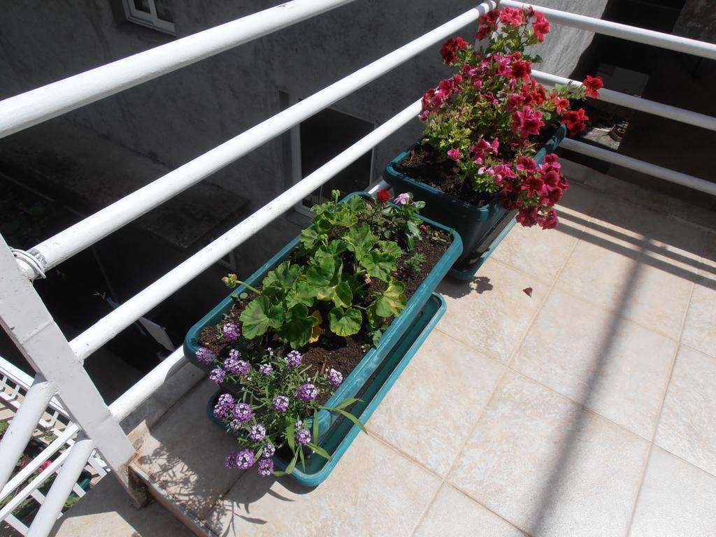 Apartmani Zeljko Vujovic Budva Extérieur photo