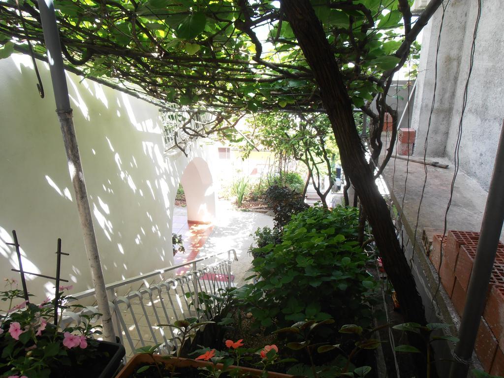 Apartmani Zeljko Vujovic Budva Extérieur photo